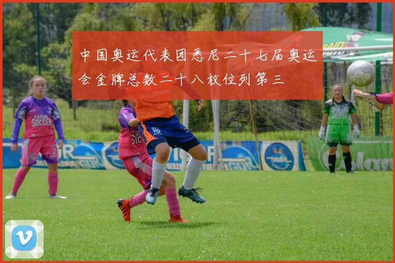 中国奥运代表团悉尼二十七届奥运会金牌总数二十八枚位列第三