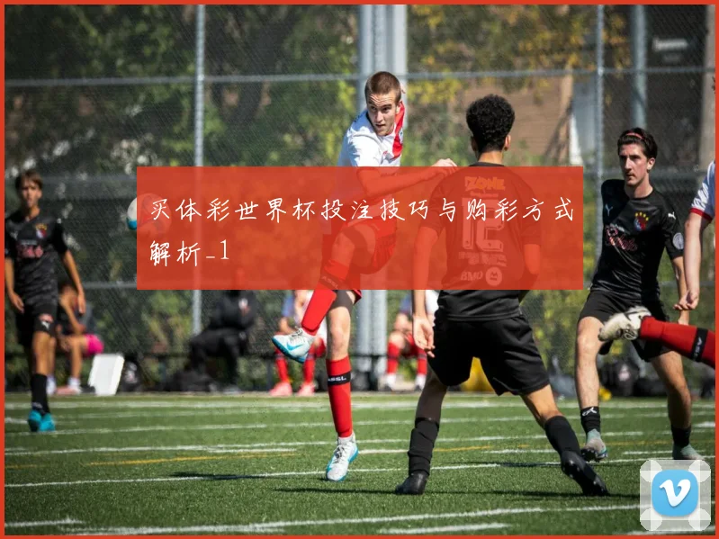 买体彩世界杯投注技巧与购彩方式解析_1