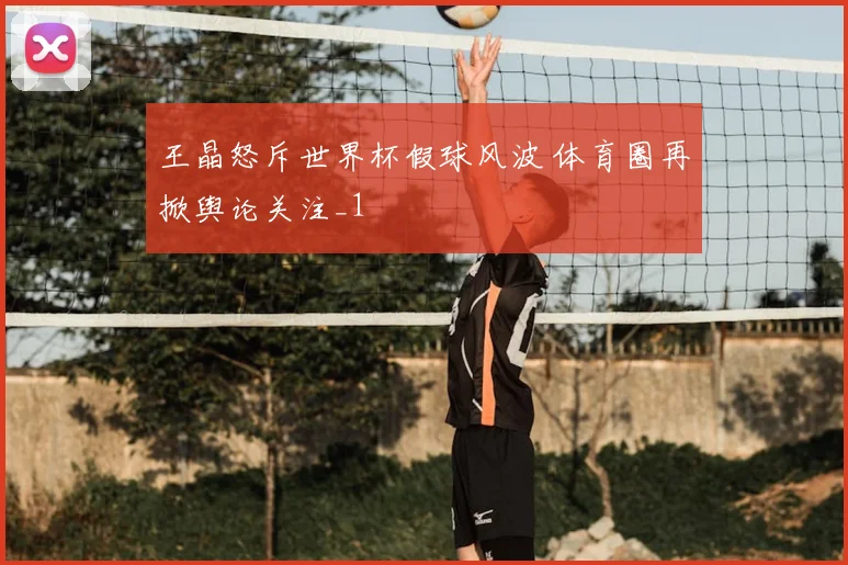 王晶怒斥世界杯假球风波 体育圈再掀舆论关注_1
