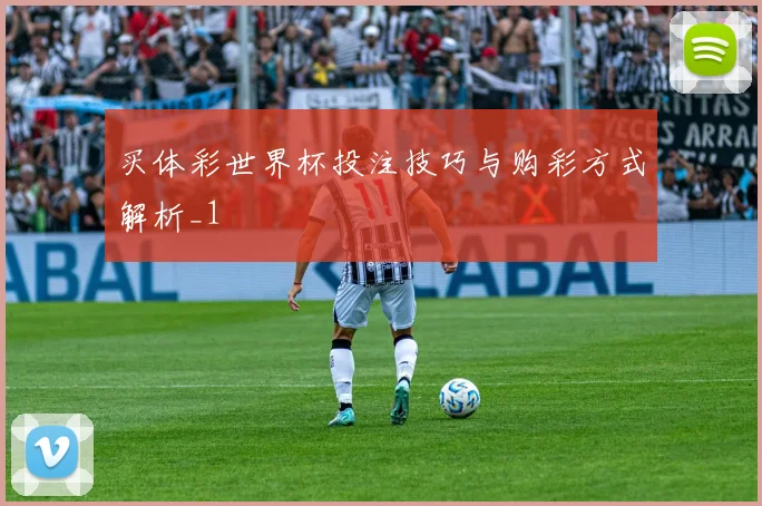 买体彩世界杯投注技巧与购彩方式解析_1