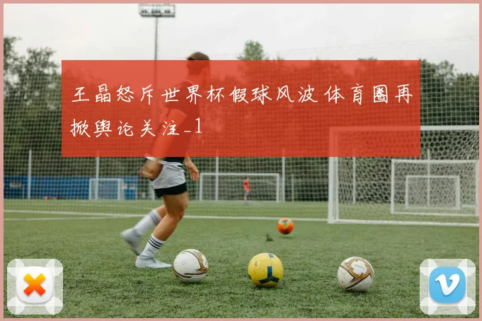 王晶怒斥世界杯假球风波 体育圈再掀舆论关注_1