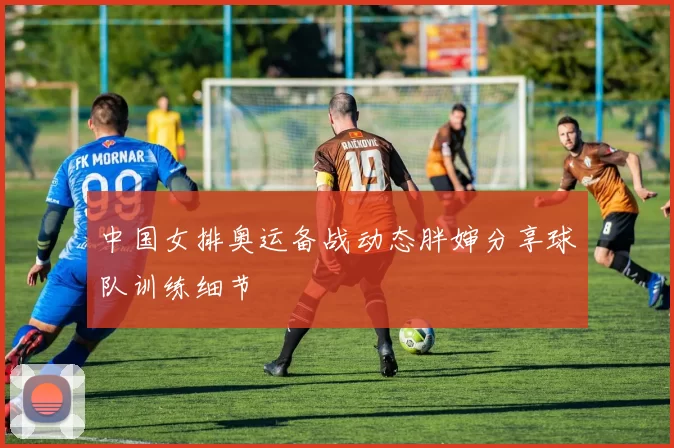 中国女排奥运备战动态胖婶分享球队训练细节